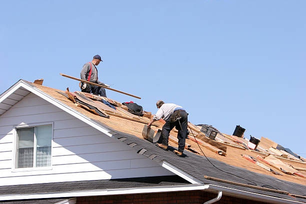 Best Steel Roofing  in Altamont, IL
